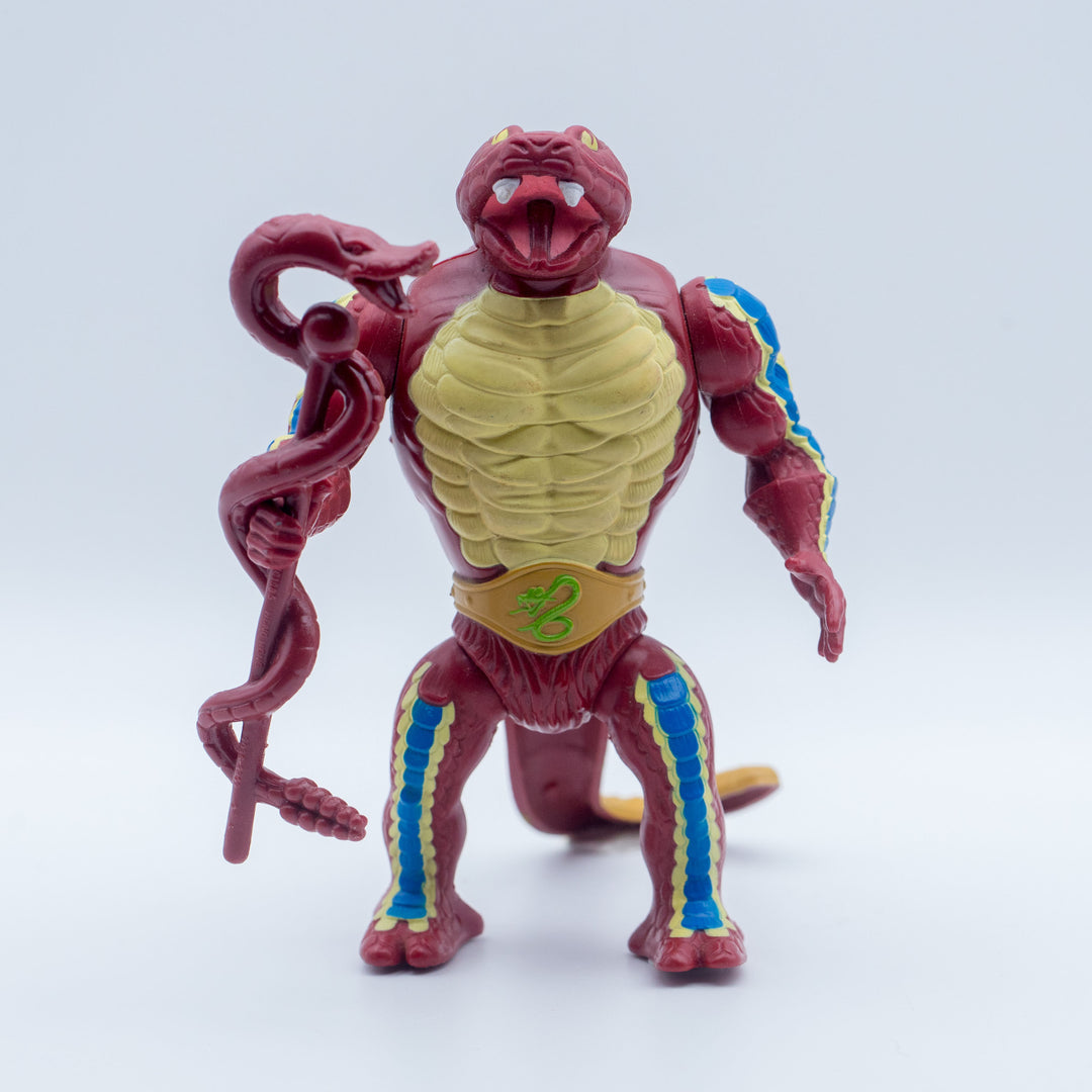 Hong Kong Rattlor - Front View