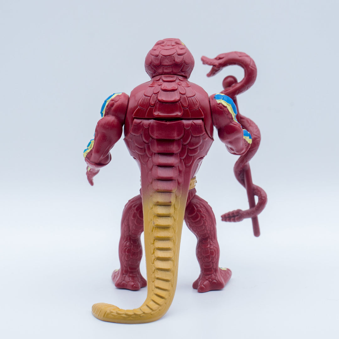 Hong Kong Rattlor - Back View