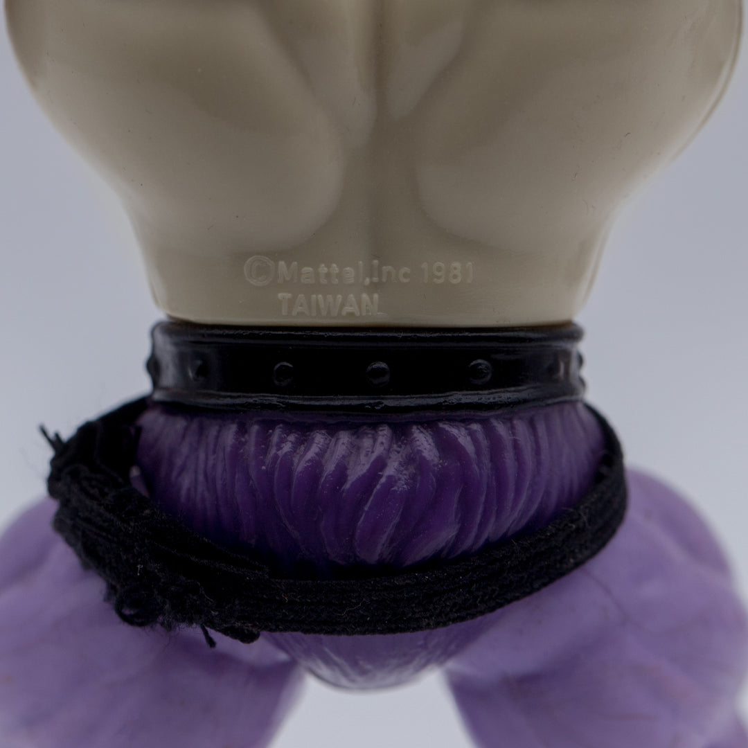 Taiwan Prince Adam (1981) - COO Closeup