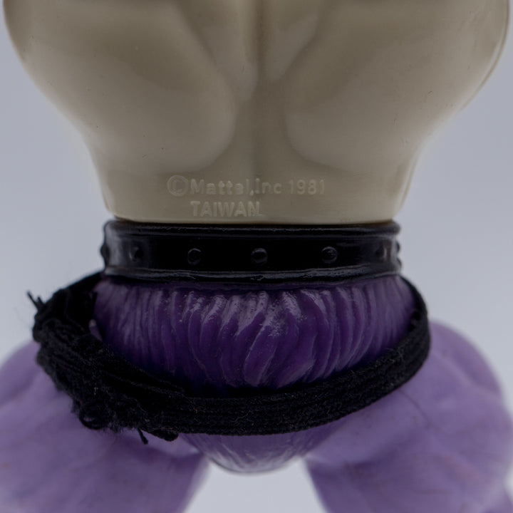 Taiwan Prince Adam (1981) - COO Closeup