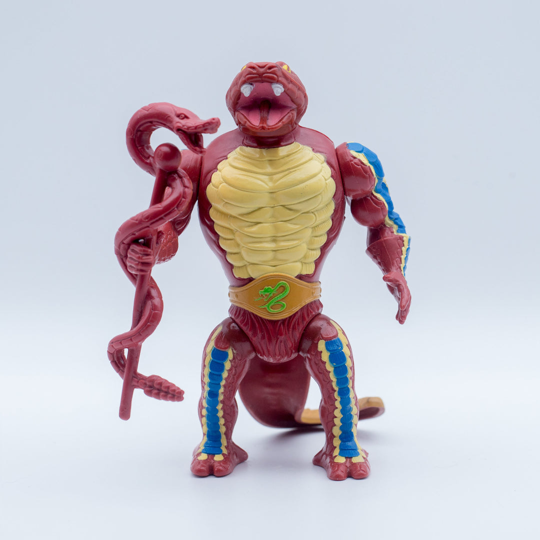 Taiwan Rattlor - Front View