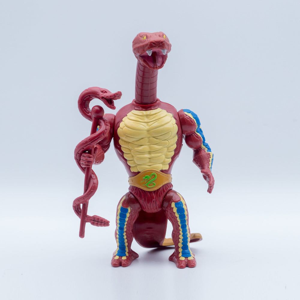 Taiwan Rattlor (Red Neck) - Front View