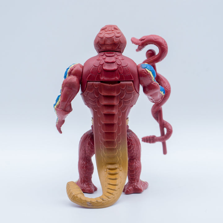Taiwan Rattlor - Back View